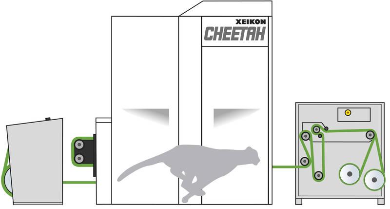 20141013_xeikon_cheetah.jpg