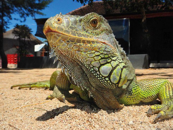 20160202 nagrada national geographic