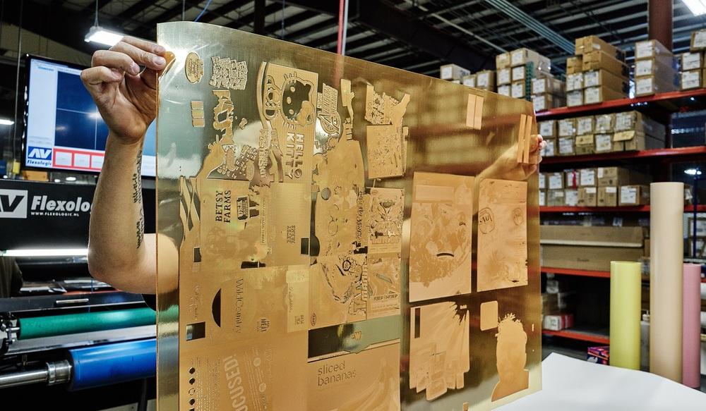 20180828 flekso prodaja kodak