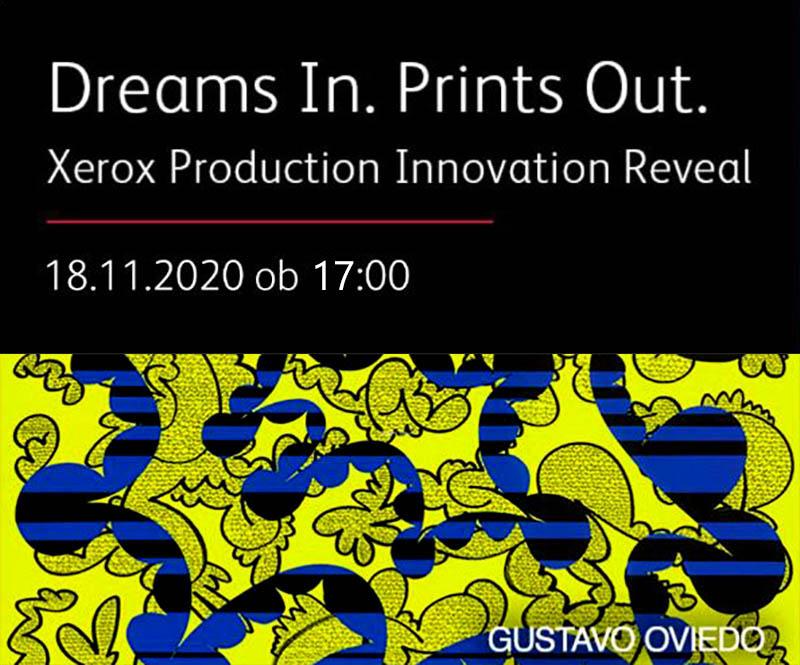 20201117 dreamsin printsout